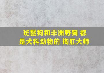 斑鬣狗和非洲野狗 都是犬科动物的 掏肛大师